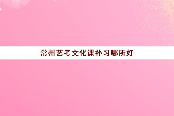 常州艺考文化课补习哪所好