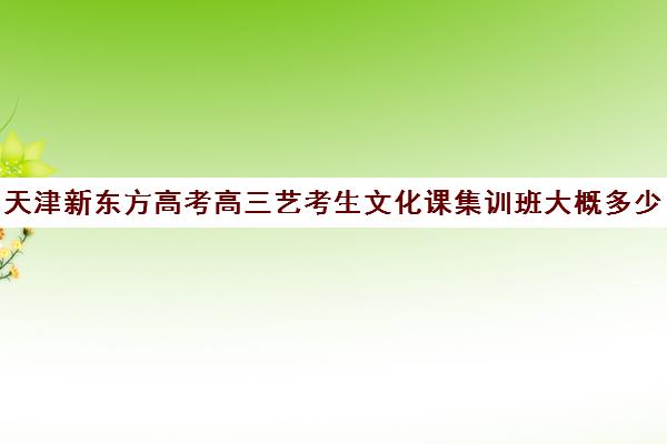 天津新东方高考高三艺考生文化课集训班大概多少钱(天津高三培训机构排名前十)