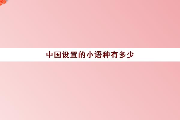 中国设置的小语种有多少(哪些是小语种)