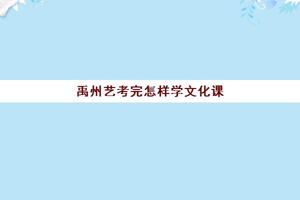 禹州艺考完怎样学文化课(河南艺考分数和文化课分数怎么算)