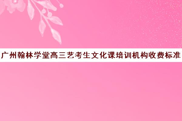 广州翰林学堂高三艺考生文化课培训机构收费标准一览表(广州艺考美术培训机构排名)