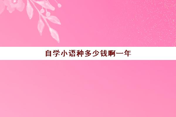 自学小语种多少钱啊一年(学小语种费用高吗)