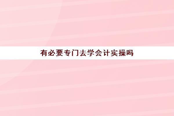 有必要专门去学会计实操吗(普通人学会计好学吗)