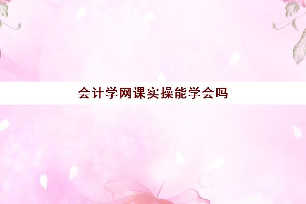 会计学网课实操能学会吗(会计买正版网课后悔了)