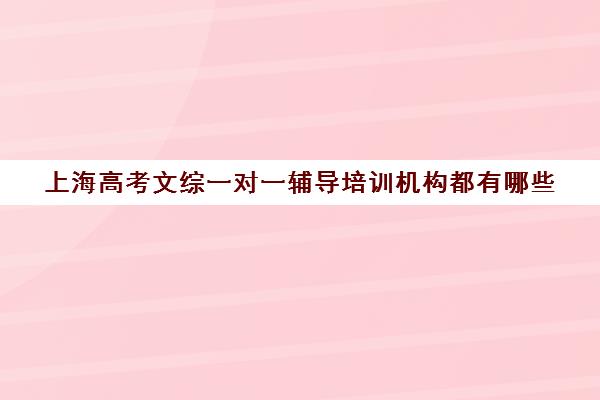 上海高考文综一对一辅导培训机构都有哪些(上海高考教辅推荐)