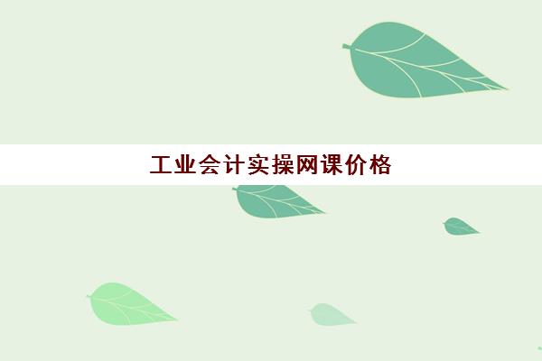 工业会计实操网课价格(新手可以做工业会计吗)