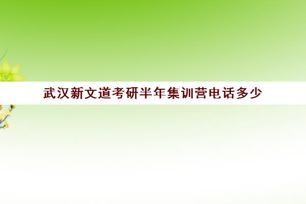 武汉新文道考研半年集训营电话多少（新文道考研机构地址在哪）