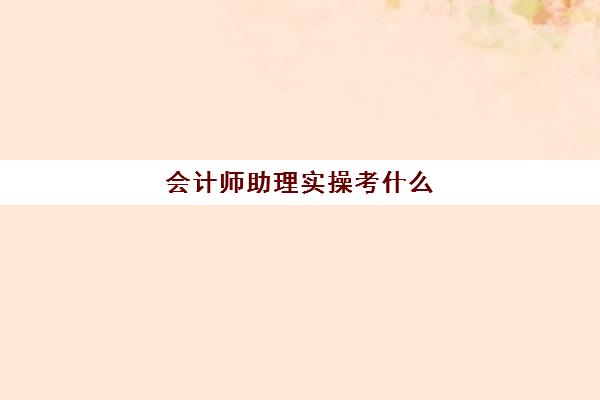 会计师助理实操考什么(助理会计师考几门)