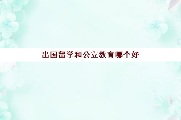 出国留学和公立教育哪个好(出国留学网站)