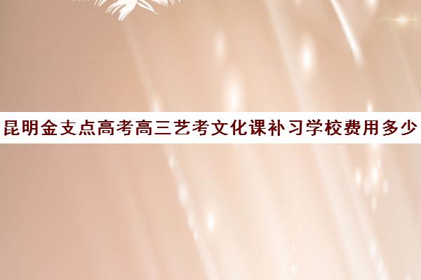 昆明金支点高考高三艺考文化课补习学校费用多少钱