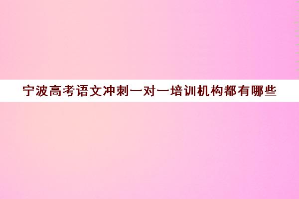 宁波高考语文冲刺一对一培训机构都有哪些(一对一教育机构排名)