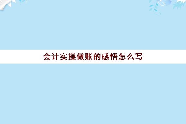 会计实操做账的感悟怎么写(做账的收获与体会)