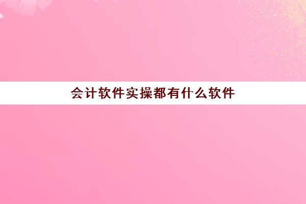 会计软件实操都有什么软件(会计专业需要什么软件)