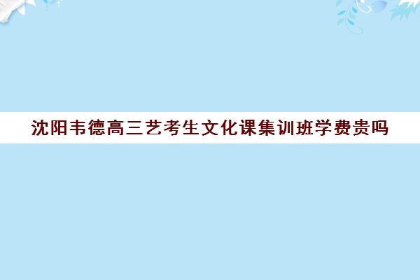 沈阳韦德高三艺考生文化课集训班学费贵吗(艺考生文化课分数线)