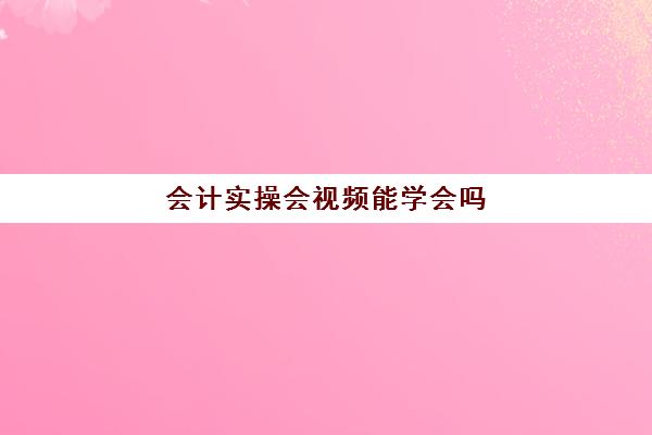 会计实操会视频能学会吗(会计每天做什么视频)