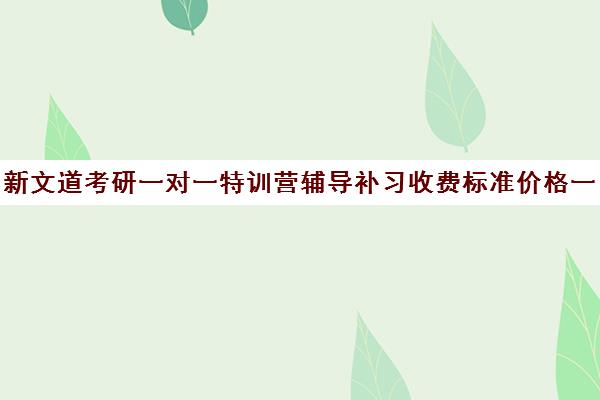 新文道考研一对一特训营辅导补习收费标准价格一览