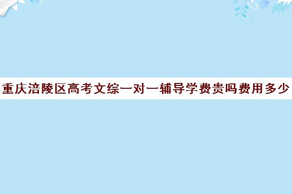 重庆涪陵区高考文综一对一辅导学费贵吗费用多少钱(一对一辅导收费)