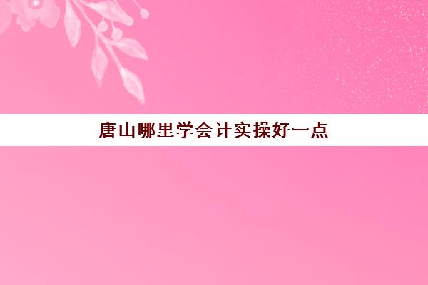 唐山哪里学会计实操好一点(唐山技校哪个学校好)