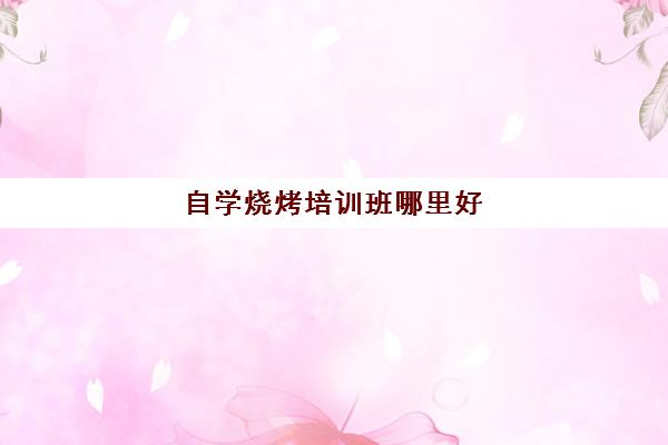 自学烧烤培训班哪里好(孩子上网校好还是辅导班好)