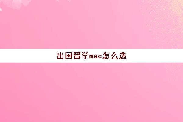 出国留学mac怎么选(出国留学用什么笔记本电脑)