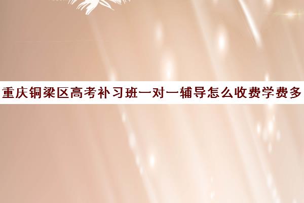 重庆铜梁区高考补习班一对一辅导怎么收费学费多少钱