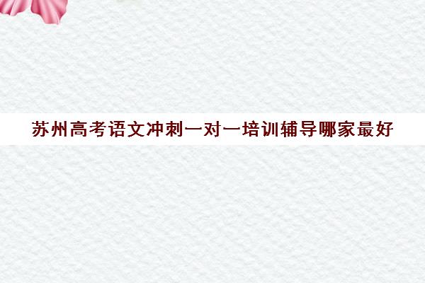 苏州高考语文冲刺一对一培训辅导哪家最好(高三语文一对一有用吗)