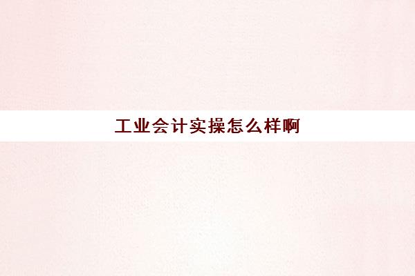 工业会计实操怎么样啊(对会计专业的认识)