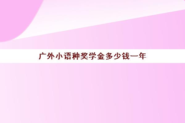 广外小语种奖学金多少钱一年(广州市广外附设外语学校学费)