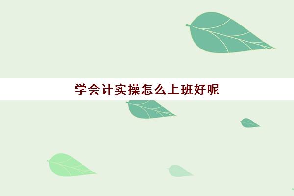 学会计实操怎么上班好呢(如何学好会计)