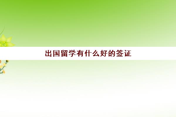 出国留学有什么好的签证(留学需要具备哪些条件)