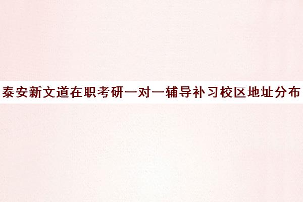 泰安新文道在职考研一对一辅导补习校区地址分布