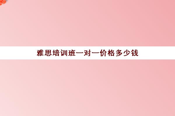 雅思培训班一对一价格多少钱(现在雅思面授一对一要多少钱)