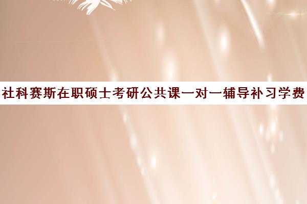 社科赛斯在职硕士考研公共课一对一辅导补习学费价格表