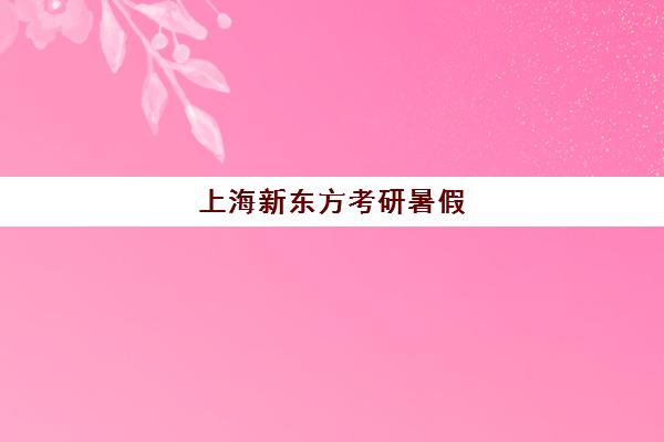 上海新东方考研暑假(新东方做考研多久了)