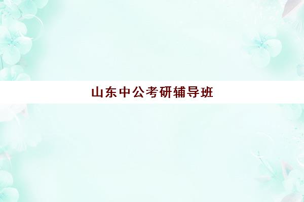 山东中公考研辅导班(报个考研辅导班多少钱)