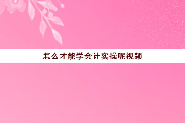 怎么才能学会计实操呢视频(哪些人不适合学会计)