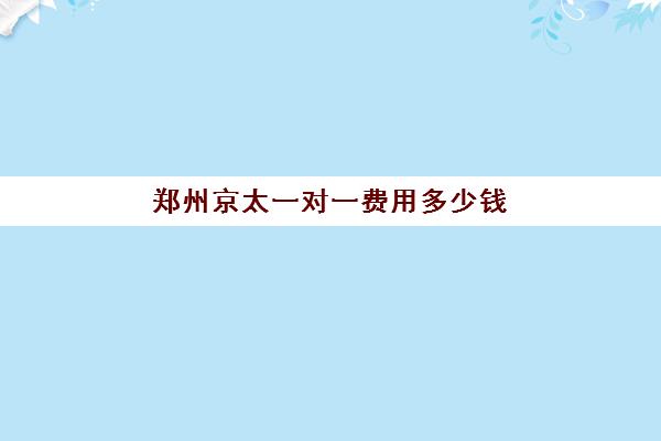 郑州京太一对一费用多少钱(京翰1对1收费标准)