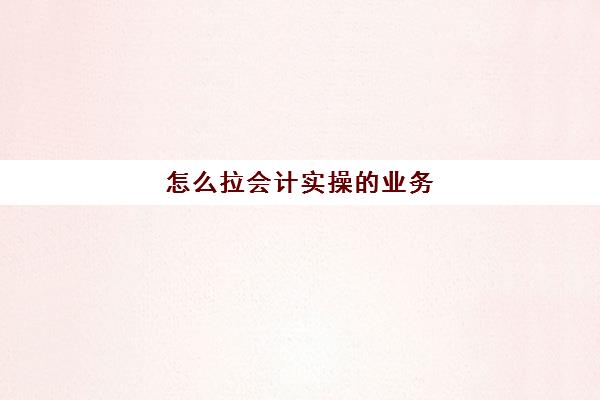 怎么拉会计实操的业务(会计接手首先要做什么)