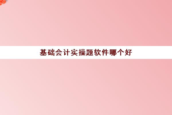 基础会计实操题软件哪个好(会计扫题解答软件)