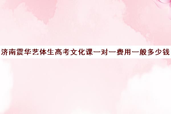 济南震华艺体生高考文化课一对一费用一般多少钱(济南艺考生文化课培训学校排名)