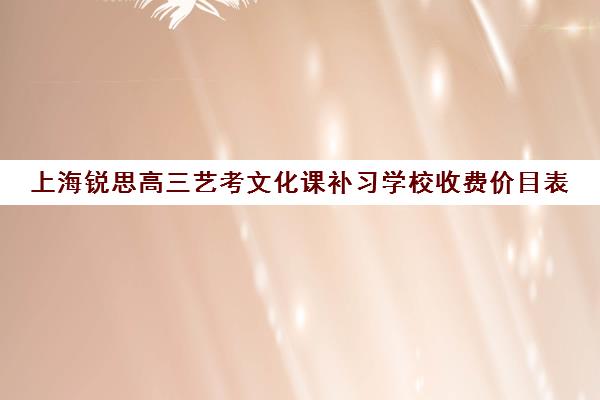 上海锐思高三艺考文化课补习学校收费价目表