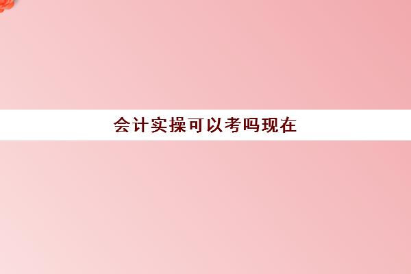 会计实操可以考吗现在(会计没人带能自学吗)