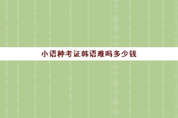 小语种考证韩语难吗多少钱(学韩语有出路吗)