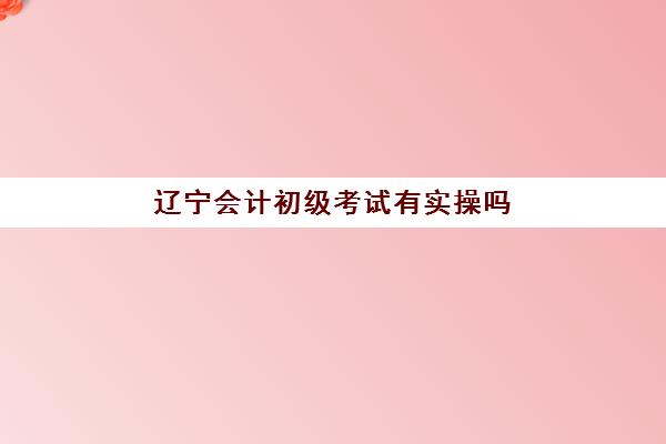 辽宁会计初级考试有实操吗(初级会计证有用吗)