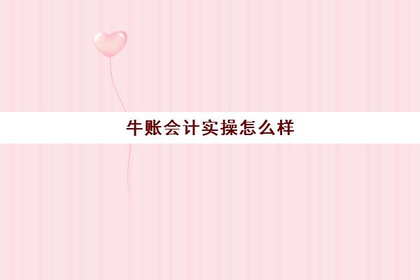 牛账会计实操怎么样(新手财务怎么自学)