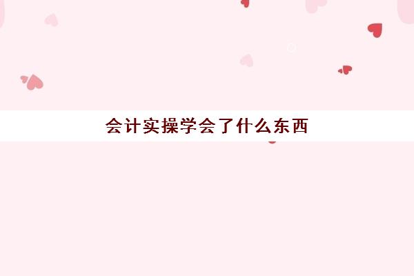 会计实操学会了什么东西(会计掌握的基本技能)