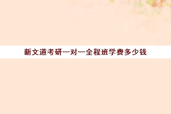 新文道考研一对一全程班学费多少钱（新文道考研怎么样）