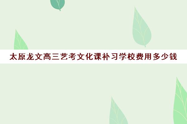 太原龙文高三艺考文化课补习学校费用多少钱