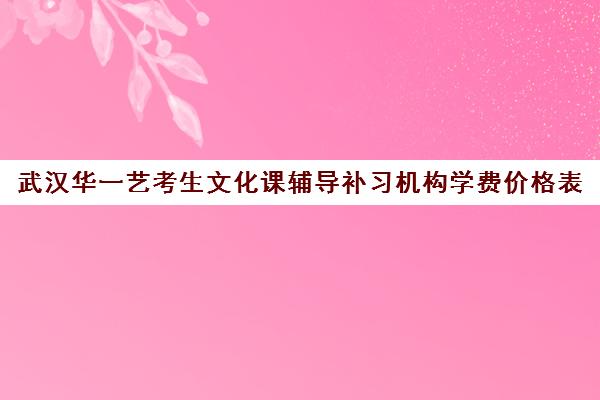 武汉华一艺考生文化课辅导补习机构学费价格表