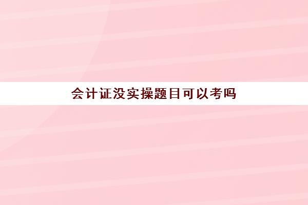 会计证没实操题目可以考吗(会计证考什么类型题目)